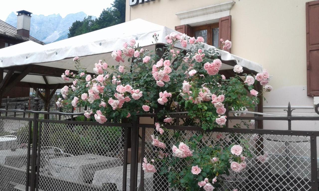 Hotel Brustolon Dont Екстер'єр фото