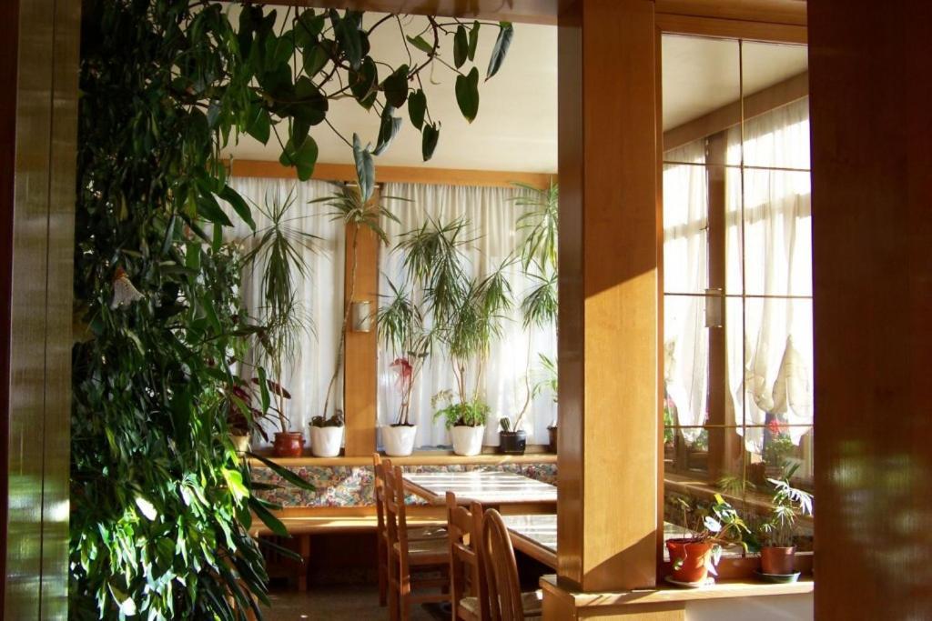 Hotel Brustolon Dont Екстер'єр фото